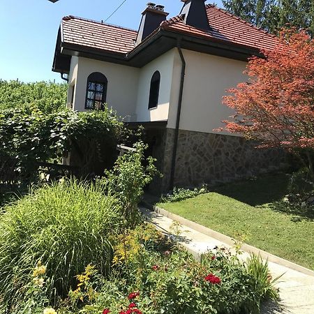Wine & Nature & Tour Zgornji Leskovec Luaran gambar