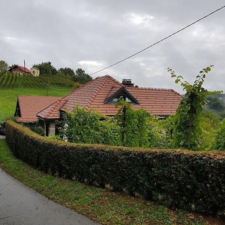 Wine & Nature & Tour Zgornji Leskovec Luaran gambar