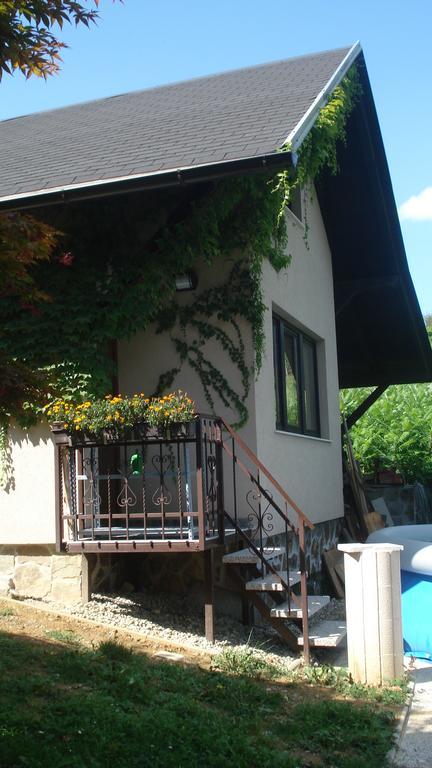 Wine & Nature & Tour Zgornji Leskovec Luaran gambar