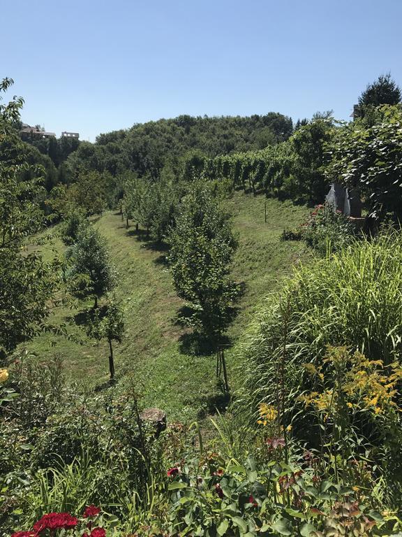 Wine & Nature & Tour Zgornji Leskovec Luaran gambar