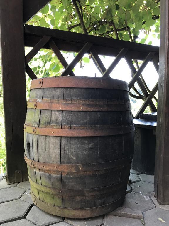 Wine & Nature & Tour Zgornji Leskovec Luaran gambar