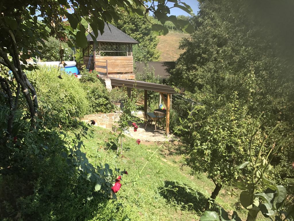 Wine & Nature & Tour Zgornji Leskovec Luaran gambar