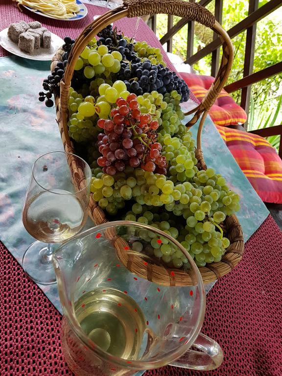 Wine & Nature & Tour Zgornji Leskovec Luaran gambar